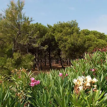 Apartmán T2 Vue Palm *