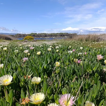 Apartmán T2 Vue Palm *