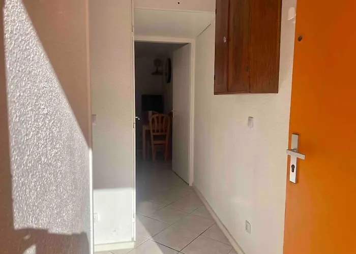 T2 Vue Palm Daire Le Barcarès